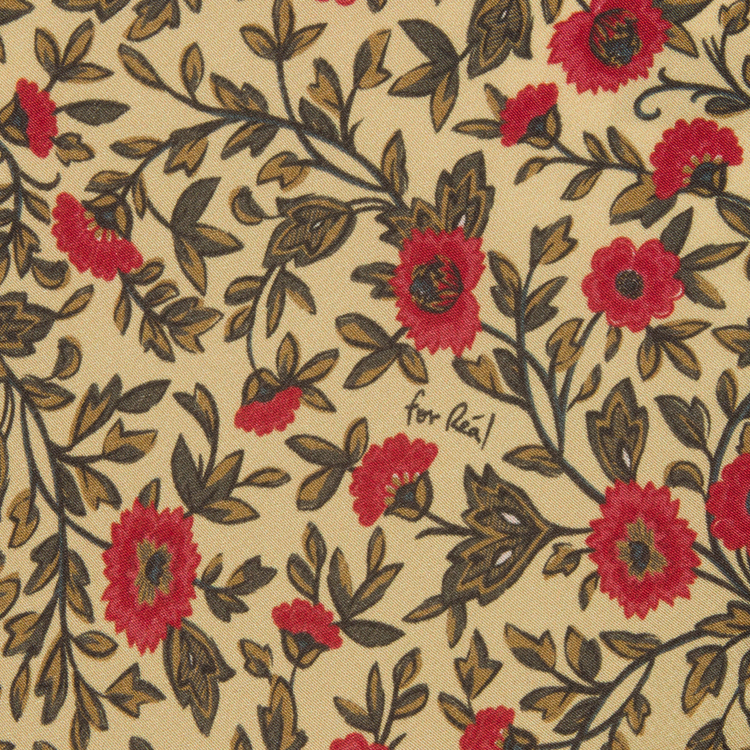 The Alba - Dahlia